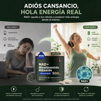NAD+ – Vuelve a tener energía durante todo el día